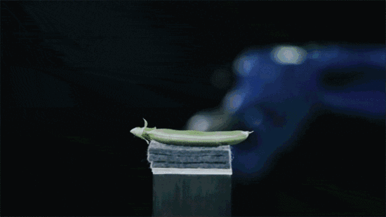 <strong>中國精（jīng）密減（jiǎn）速（sù）器（qì）技術如何（hé）趕超日本</strong>